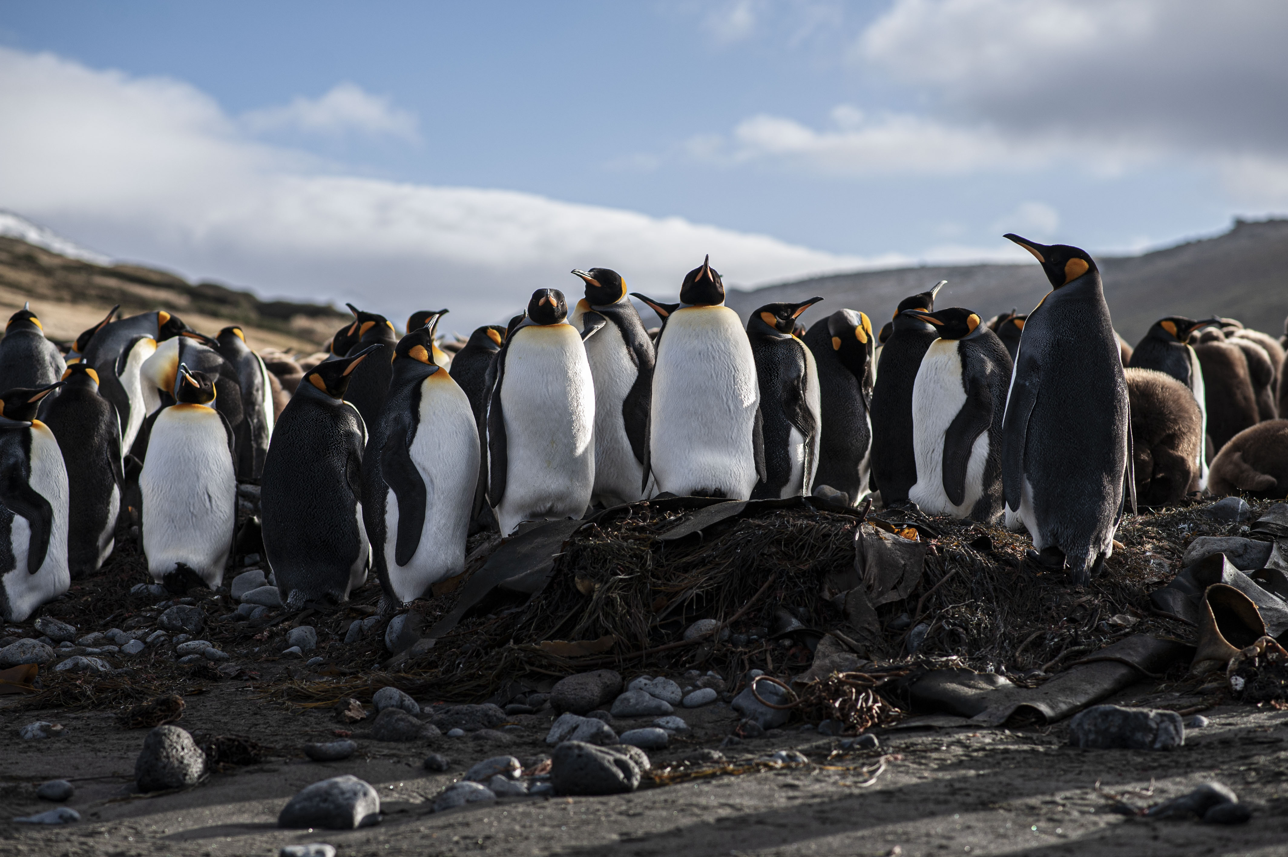 GYT 20220701 134216  DSC6244